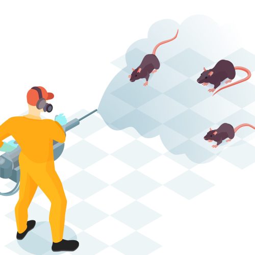 Worker of pest control service with professional equipment during domestic disinfection from rodents isometric vector illustration